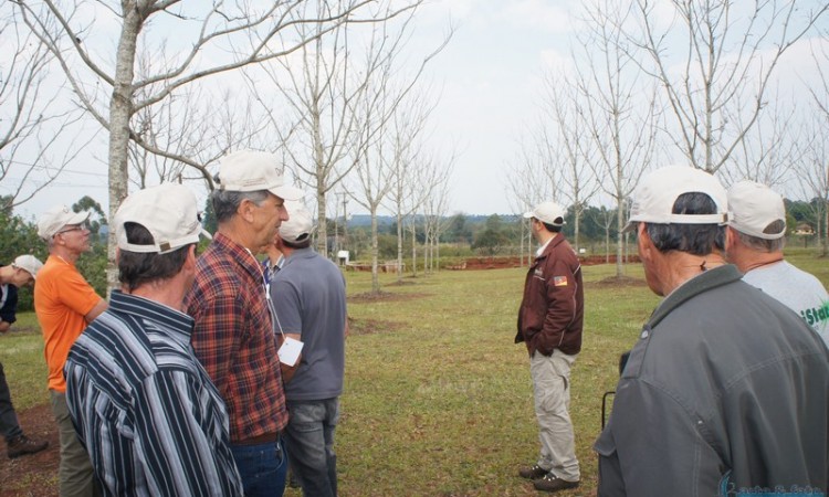 STR VISITA VIVEIRO DE NOGUEIRA-PECÃ EM CACHOEIRA DO SUL