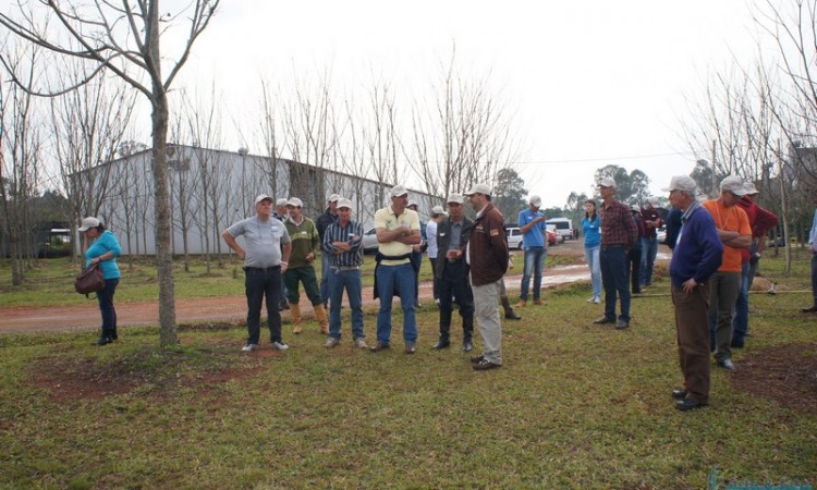 STR VISITA VIVEIRO DE NOGUEIRA-PECÃ EM CACHOEIRA DO SUL