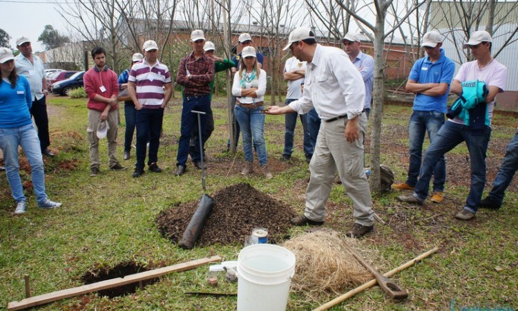 STR VISITA VIVEIRO DE NOGUEIRA-PECÃ EM CACHOEIRA DO SUL