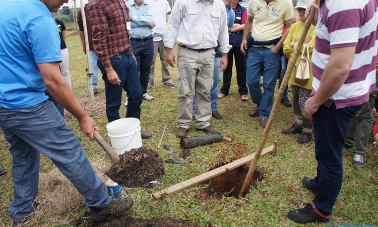 STR VISITA VIVEIRO DE NOGUEIRA-PECÃ EM CACHOEIRA DO SUL