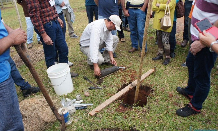 STR VISITA VIVEIRO DE NOGUEIRA-PECÃ EM CACHOEIRA DO SUL