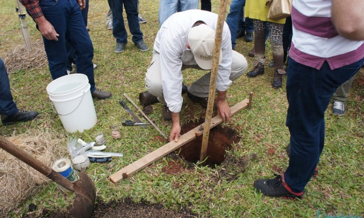 STR VISITA VIVEIRO DE NOGUEIRA-PECÃ EM CACHOEIRA DO SUL