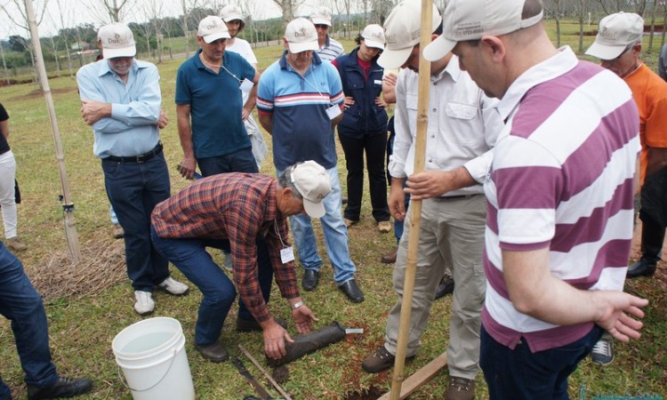 STR VISITA VIVEIRO DE NOGUEIRA-PECÃ EM CACHOEIRA DO SUL