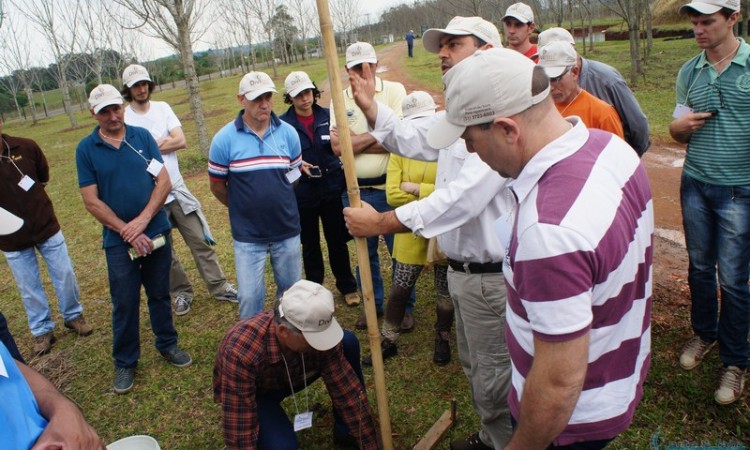 STR VISITA VIVEIRO DE NOGUEIRA-PECÃ EM CACHOEIRA DO SUL