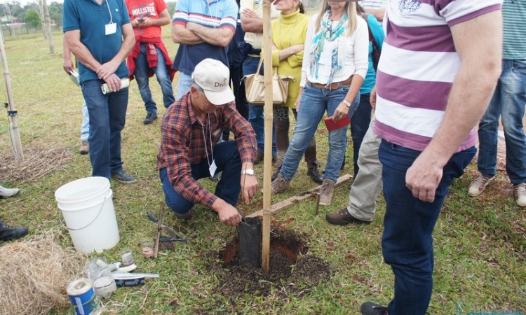 STR VISITA VIVEIRO DE NOGUEIRA-PECÃ EM CACHOEIRA DO SUL