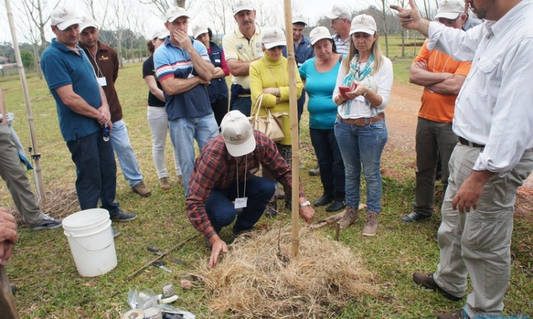 STR VISITA VIVEIRO DE NOGUEIRA-PECÃ EM CACHOEIRA DO SUL