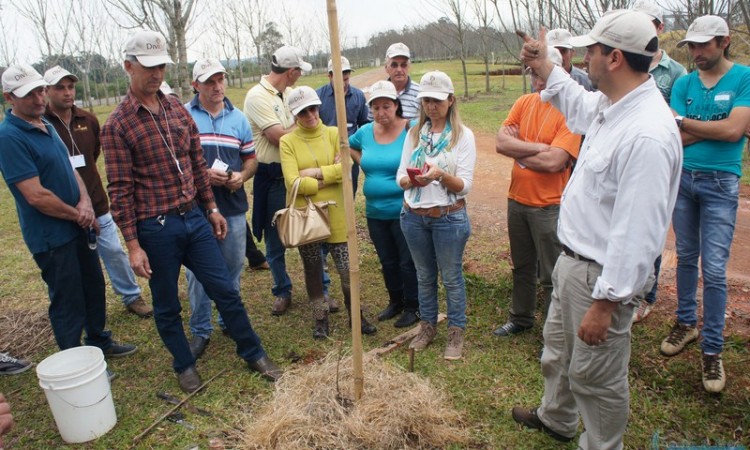 STR VISITA VIVEIRO DE NOGUEIRA-PECÃ EM CACHOEIRA DO SUL