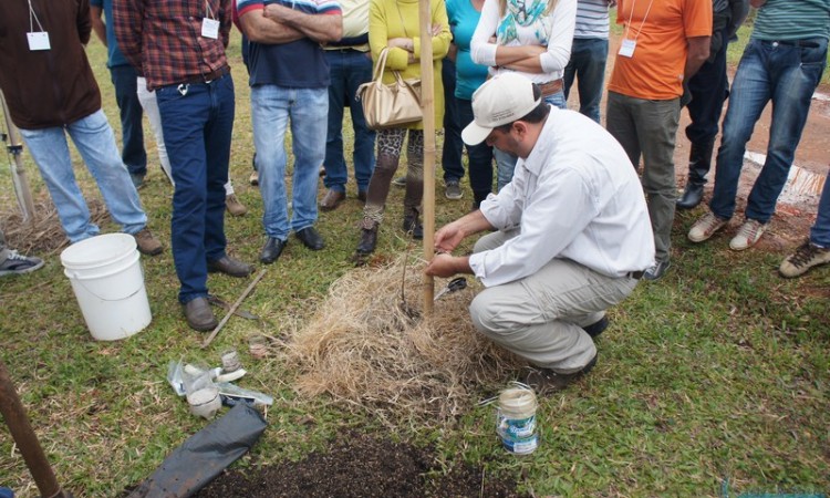 STR VISITA VIVEIRO DE NOGUEIRA-PECÃ EM CACHOEIRA DO SUL