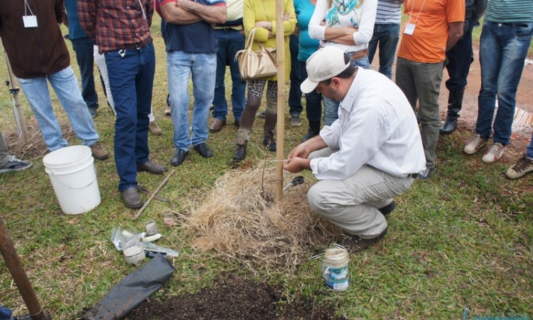 STR VISITA VIVEIRO DE NOGUEIRA-PECÃ EM CACHOEIRA DO SUL