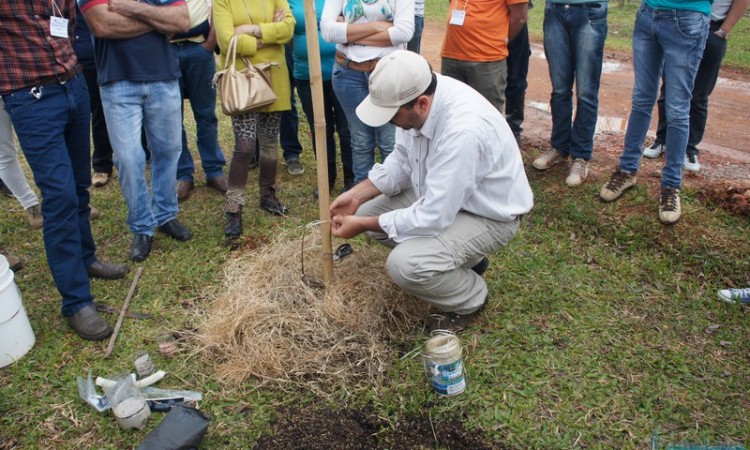 STR VISITA VIVEIRO DE NOGUEIRA-PECÃ EM CACHOEIRA DO SUL