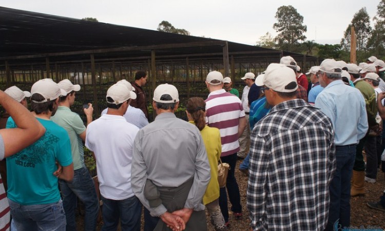 STR VISITA VIVEIRO DE NOGUEIRA-PECÃ EM CACHOEIRA DO SUL