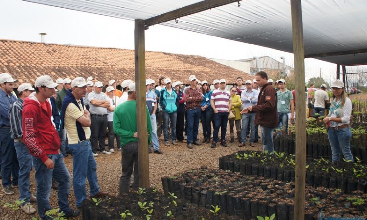 STR VISITA VIVEIRO DE NOGUEIRA-PECÃ EM CACHOEIRA DO SUL