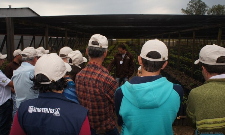 STR VISITA VIVEIRO DE NOGUEIRA-PECÃ EM CACHOEIRA DO SUL