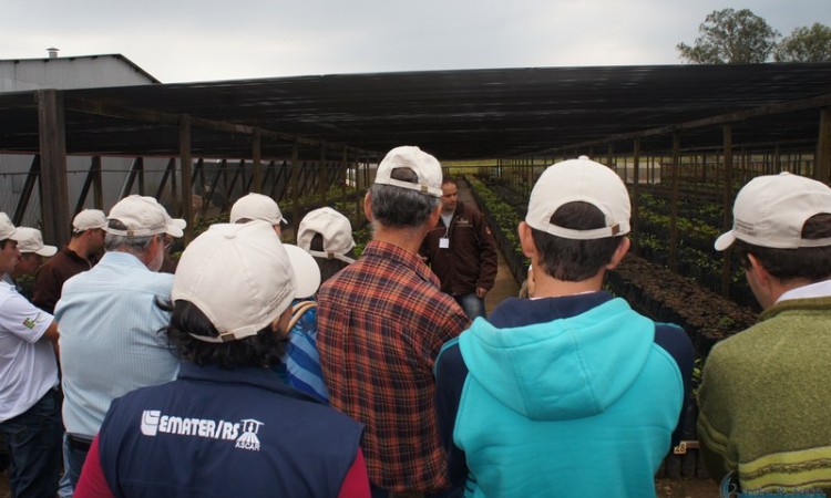 STR VISITA VIVEIRO DE NOGUEIRA-PECÃ EM CACHOEIRA DO SUL