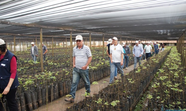 STR VISITA VIVEIRO DE NOGUEIRA-PECÃ EM CACHOEIRA DO SUL