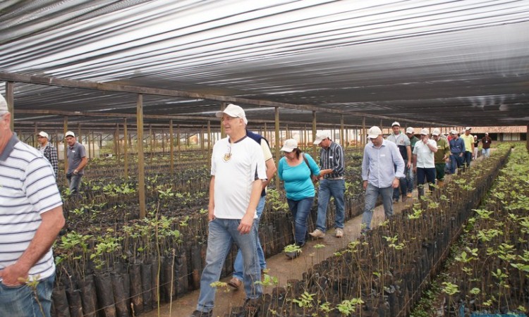 STR VISITA VIVEIRO DE NOGUEIRA-PECÃ EM CACHOEIRA DO SUL