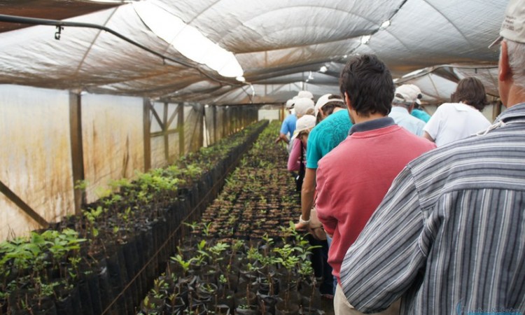 STR VISITA VIVEIRO DE NOGUEIRA-PECÃ EM CACHOEIRA DO SUL