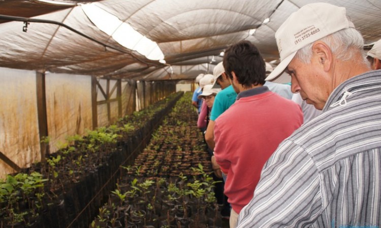 STR VISITA VIVEIRO DE NOGUEIRA-PECÃ EM CACHOEIRA DO SUL