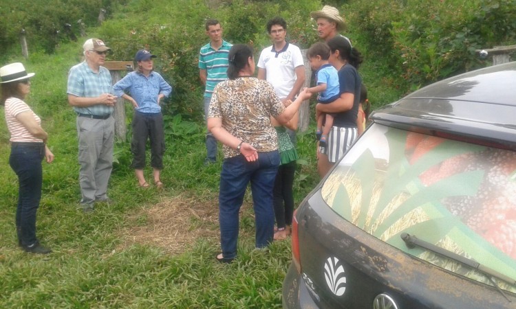 Pesquisadores norte americanos visitam pomares de pequenas frutas no interior de Vacaria