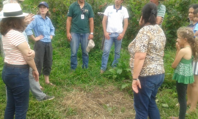 Pesquisadores norte americanos visitam pomares de pequenas frutas no interior de Vacaria