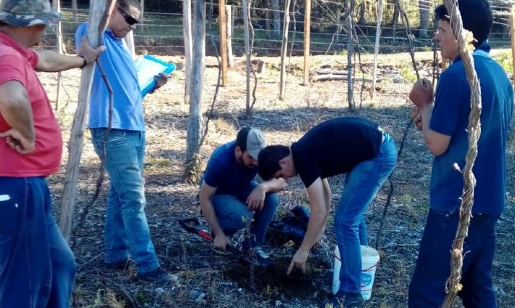 ESTUDANTES DE AGRONOMIA VISITAM ASSOCIADOS DO STR