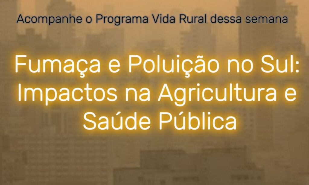 Fumaça e Poluição no Sul: Impactos na Agricultura e Saúde Pública