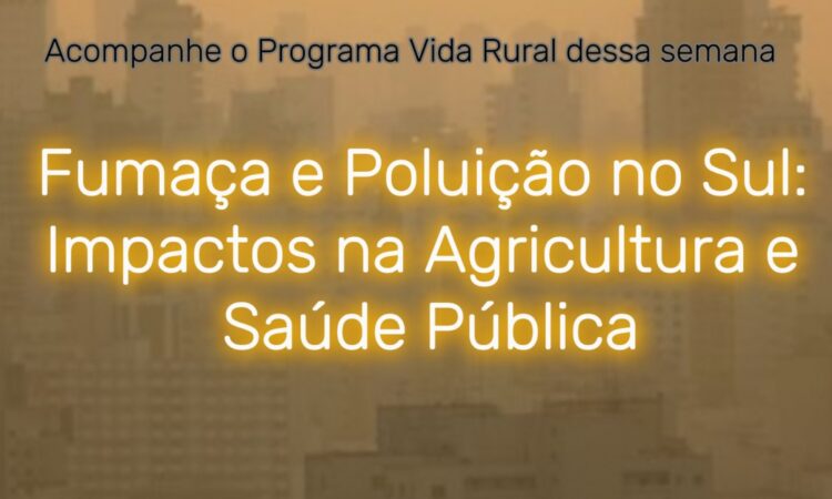 Fumaça e Poluição no Sul: Impactos na Agricultura e Saúde Pública